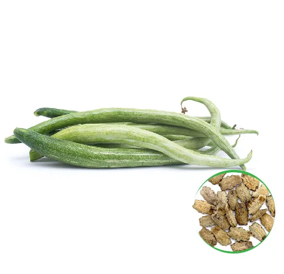 Industrial Drag Chain Scraper System